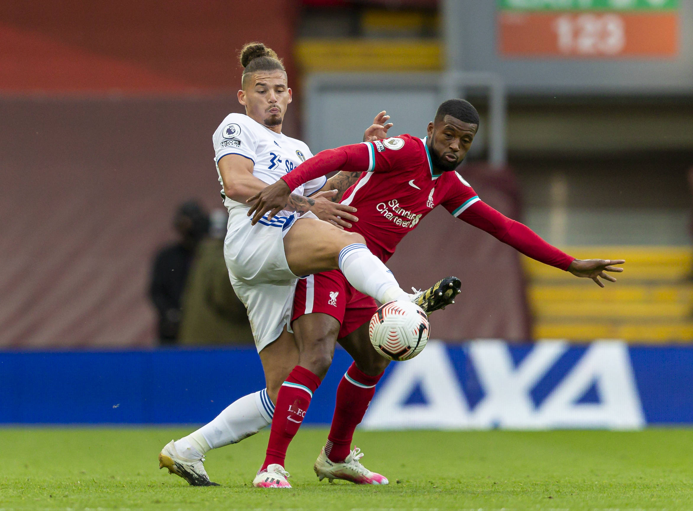 了坚实的基 了坚实的基