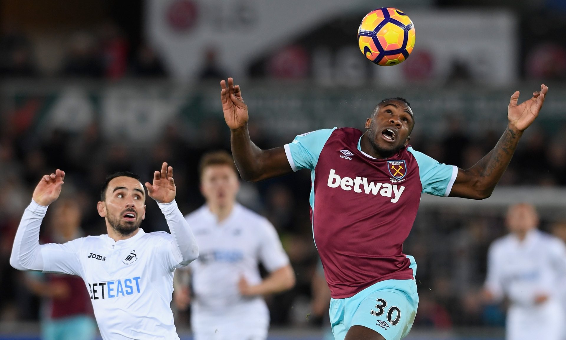 的高度关注 的高度关注